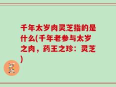 千年太岁肉灵芝指的是什么(千年老参与太岁之肉，药王之珍：灵芝)