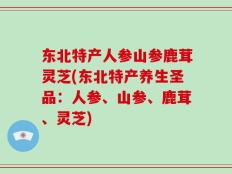 东北特产人参山参鹿茸灵芝(东北特产养生圣品：人参、山参、鹿茸、灵芝)