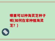哪里可以种海灵芝种子呢(如何在家种植海灵芝？)