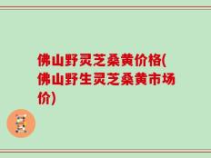 佛山野灵芝桑黄价格(佛山野生灵芝桑黄市场价)
