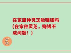 在家里种灵芝能赚钱吗(在家种灵芝，赚钱不成问题！)