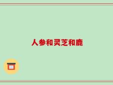 人参和灵芝和鹿