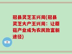 冠县灵芝王兴周(冠县灵芝大户王兴周：让蘑菇产业成为农民致富新途径)