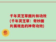 千年灵芝草图片和功效(千年灵芝草：奇妙图片展现出的神奇功效)
