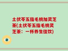 土伏苓五指毛桃加灵芝茶(土伏苓五指毛桃灵芝茶：一杯养生佳饮)