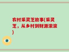 农村采灵芝故事(采灵芝，从乡村到财源滚滚)