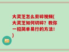 大灵芝怎么剪碎视频(大灵芝如何切碎？教你一招简单易行的方法！)