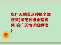 农广天地灵芝种植全部视频(灵芝种植全程视频-农广天地详细解读)