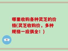 哪里收购各种灵芝的价格(灵芝收购价，多种规格一应俱全！)