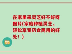 在家里采灵芝好不好呀图片(家庭种植灵芝，轻松享受药食两用的好处！)