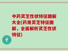 中药灵芝性状特征图解大全(药用灵芝特征图解，全面解析灵芝性状特征)