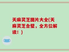 天麻灵芝图片大全(天麻灵芝合璧，全方位解读！)