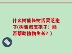 什么树能长树舌灵芝孢子(树舌灵芝孢子：能否帮助植物生长？)