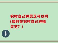 农村自己种灵芝可以吗(如何在农村自己种植灵芝？)