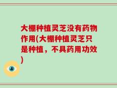 大棚种植灵芝没有药物作用(大棚种植灵芝只是种植，不具药用功效)