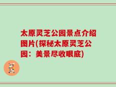 太原灵芝公园景点介绍图片(探秘太原灵芝公园：美景尽收眼底)