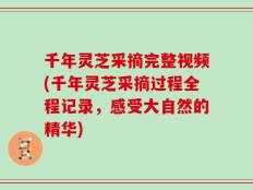 千年灵芝采摘完整视频(千年灵芝采摘过程全程记录，感受大自然的精华)