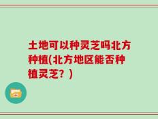 土地可以种灵芝吗北方种植(北方地区能否种植灵芝？)