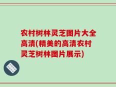 农村树林灵芝图片大全高清(精美的高清农村灵芝树林图片展示)