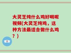 大灵芝炖什么鸡好喝呢视频(大灵芝炖鸡，这种方法最适合做什么鸡？)