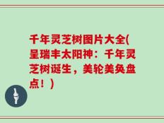 千年灵芝树图片大全(呈瑞丰太阳神：千年灵芝树诞生，美轮美奂盘点！)