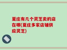 夏庄有几个灵芝卖的店在哪(夏庄多家店铺供应灵芝)