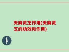 天麻灵芝作用(天麻灵芝的功效和作用)