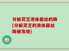 分解灵芝液体菌丝的酶(分解灵芝的液体菌丝酶被发现)