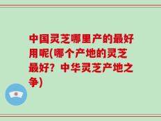 中国灵芝哪里产的最好用呢(哪个产地的灵芝最好？中华灵芝产地之争)