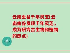 云南虫谷千年灵芝(云南虫谷发现千年灵芝，成为研究古生物和植物的热点)