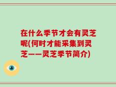 在什么季节才会有灵芝呢(何时才能采集到灵芝——灵芝季节简介)