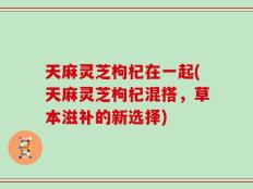 天麻灵芝枸杞在一起(天麻灵芝枸杞混搭，草本滋补的新选择)