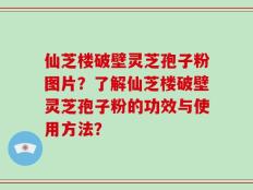 仙芝楼破壁灵芝孢子粉图片？了解仙芝楼破壁灵芝孢子粉的功效与使用方法？
