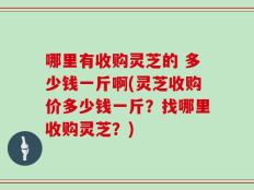哪里有收购灵芝的 多少钱一斤啊(灵芝收购价多少钱一斤？找哪里收购灵芝？)