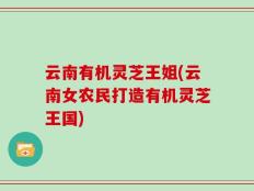云南有机灵芝王姐(云南女农民打造有机灵芝王国)