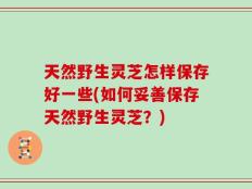 天然野生灵芝怎样保存好一些(如何妥善保存天然野生灵芝？)
