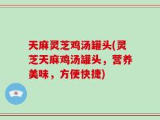 天麻灵芝鸡汤罐头(灵芝天麻鸡汤罐头，营养美味，方便快捷)