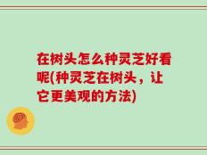 在树头怎么种灵芝好看呢(种灵芝在树头，让它更美观的方法)