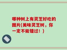 哪种树上有灵芝好吃的图片(美味灵芝树，你一定不能错过！)