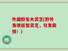 外国野生大灵芝(野外发现巨型灵芝，引发震惊！)