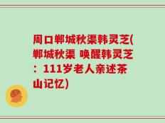 周口郸城秋渠韩灵芝(郸城秋渠 唤醒韩灵芝：111岁老人亲述茶山记忆)
