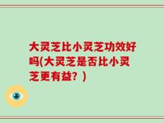 大灵芝比小灵芝功效好吗(大灵芝是否比小灵芝更有益？)