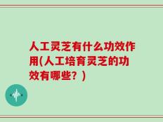 人工灵芝有什么功效作用(人工培育灵芝的功效有哪些？)