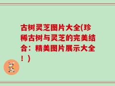 古树灵芝图片大全(珍稀古树与灵芝的完美结合：精美图片展示大全！)