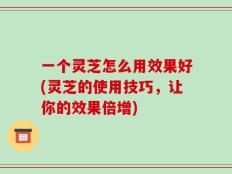 一个灵芝怎么用效果好(灵芝的使用技巧，让你的效果倍增)