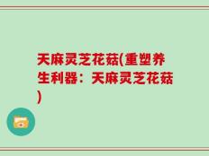 天麻灵芝花菇(重塑养生利器：天麻灵芝花菇)