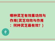 哪种灵芝有效果功效与作用(灵芝功效与作用：何种灵芝最有效？)