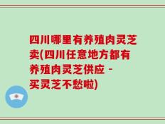 四川哪里有养殖肉灵芝卖(四川任意地方都有养殖肉灵芝供应 - 买灵芝不愁啦)