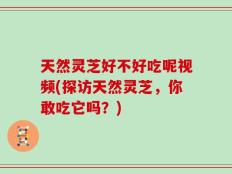 天然灵芝好不好吃呢视频(探访天然灵芝，你敢吃它吗？)
