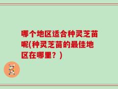 哪个地区适合种灵芝苗呢(种灵芝苗的最佳地区在哪里？)